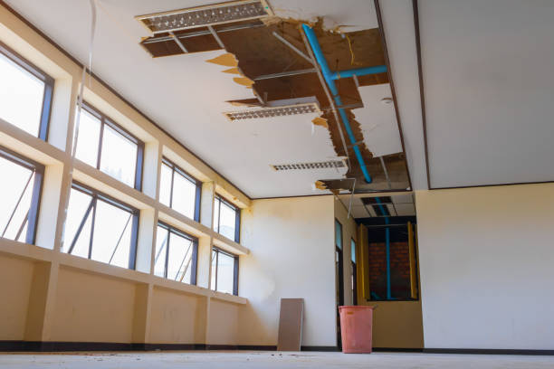 Best Commercial water damage restoration  in San Antonio, TX