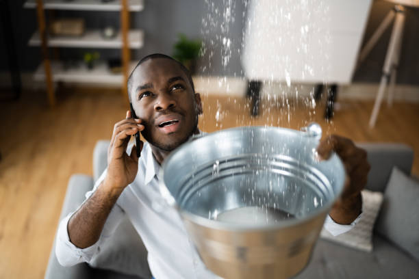 Best Mold removal after water damage  in San Antonio, TX