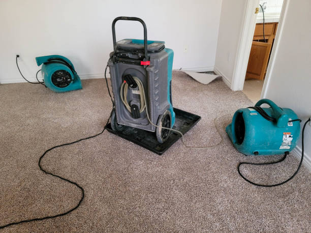 Best Flooded house restoration  in San Antonio, TX