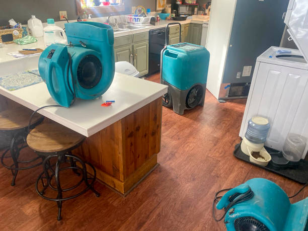 Best Water damage restoration near me  in San Antonio, TX