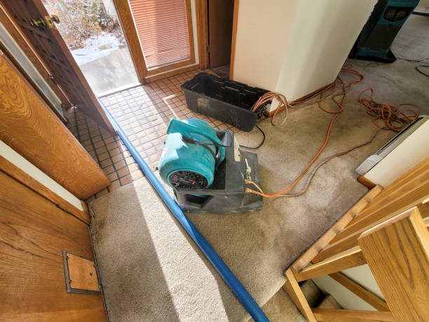Best Emergency water damage restoration  in San Antonio, TX