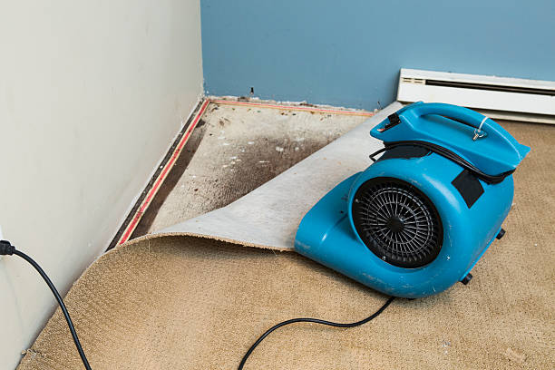 Reliable San Antonio, TX Water damage restoration Solutions